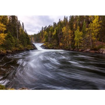 Lais Puzzle - Schöner Fluss mit Wasserfall im Herbstwald, Oulanka-Nationalpark, Finnland - 500, 1.000 & 2.000 Teile