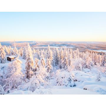 Lais Puzzle - Majestätischer Winter in Finnland - 40, 100, 200, 500, 1.000 & 2.000 Teile