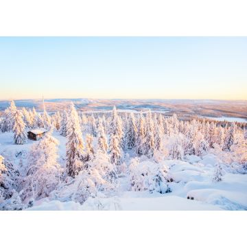 Lais Puzzle - Majestätischer Winter in Finnland - 1.000 Teile