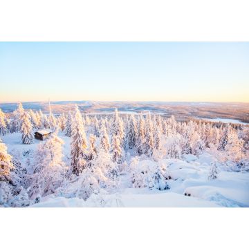 Lais Puzzle - Majestätischer Winter in Finnland - 2.000 Teile