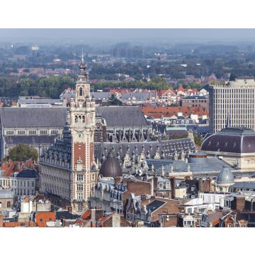 Lais Puzzle - Zentrum von Lille - 40, 100, 200, 500, 1.000 & 2.000 Teile