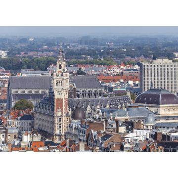 Lais Puzzle - Zentrum von Lille - 1.000 Teile