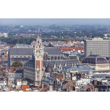 Lais Puzzle - Zentrum von Lille - 2.000 Teile