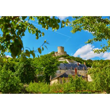 Lais Puzzle - Schöne mittelalterliche Burg von La Roche-Guyon - 1.000 Teile
