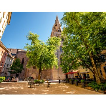 Lais Puzzle - Der Turm der Kirche Saint-Andreas im Zentrum der Altstadt von Grenoble im Südosten Frankreichs - 40, 100, 200, 500, 1.000 & 2.000 Teile