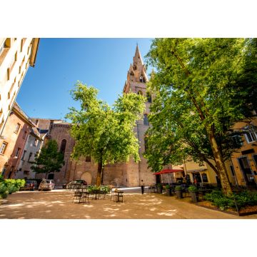 Lais Puzzle - Der Turm der Kirche Saint-Andreas im Zentrum der Altstadt von Grenoble im Südosten Frankreichs - 1.000 Teile