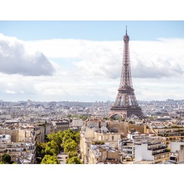 Lais Puzzle - Stadtansicht aus der Luft auf den Eiffelturm an einem sonnigen Tag in Paris - 40, 100, 200, 500, 1.000 & 2.000 Teile