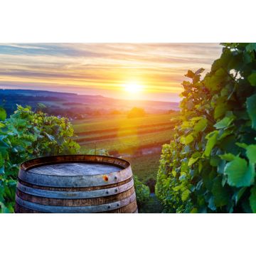 Lais Puzzle - Champagner-Weinberge mit alten Holzfass auf Reihe Rebe grüne Traube in Champagner-Weinberge Hintergrund in der Montagne de Reims - 2.000 Teile
