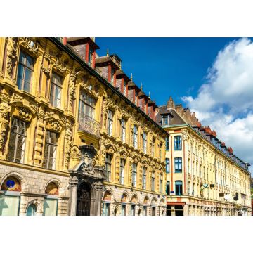 Lais Puzzle - Traditionelle Gebäude in der Altstadt von Lille, Frankreich - 1.000 Teile