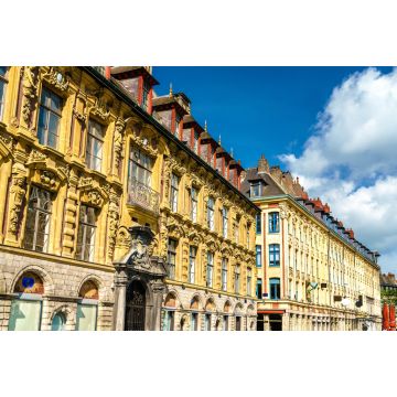 Lais Puzzle - Traditionelle Gebäude in der Altstadt von Lille, Frankreich - 2.000 Teile