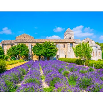 Lais Puzzle - Lavendelfeld im Kloster von Saint Paul de Mausole in Frankreich - 40, 100, 200, 500, 1.000 & 2.000 Teile