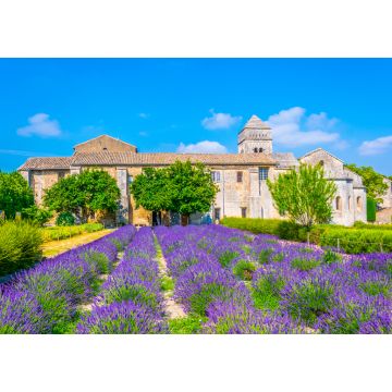 Lais Puzzle - Lavendelfeld im Kloster von Saint Paul de Mausole in Frankreich - 1.000 Teile