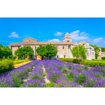 Lais Puzzle - Lavendelfeld im Kloster von Saint Paul de Mausole in Frankreich - 2.000 Teile