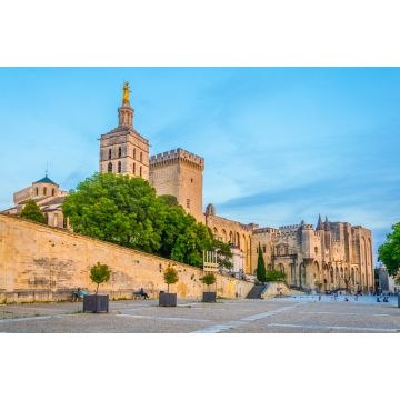 Lais Puzzle - Sonnenuntergangsansicht des Papstpalastes und der Kathedrale in Avignon, Frankreich - 2.000 Teile
