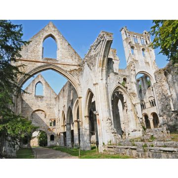 Lais Puzzle - Die Schlucht der Abtei von San Pietro di Jumièges, Normandie, Frankreich - 40, 100, 200, 500, 1.000 & 2.000 Teile