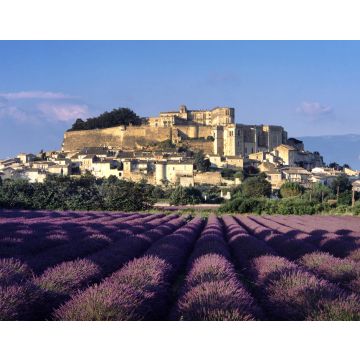 Lais Puzzle - Drome, Provence, Lavendelfeld von Grignan - 40, 100, 200, 500, 1.000 & 2.000 Teile