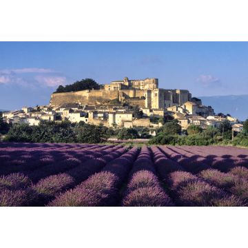 Lais Puzzle - Drome, Provence, Lavendelfeld von Grignan - 2.000 Teile