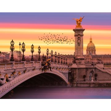 Lais Puzzle - Brücke Alexandre III, Paris, Frankreich - 40, 100, 200, 500, 1.000 & 2.000 Teile