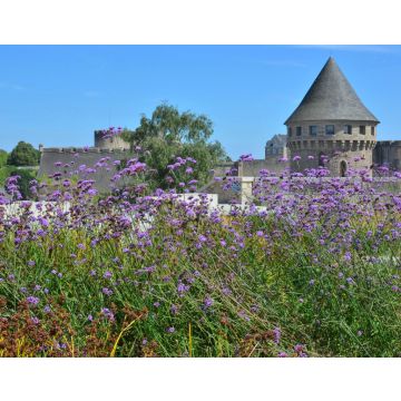 Lais Puzzle - Brest, Tour Tanguy, Bretagne, Frankreich - 40, 100, 200, 500, 1.000 & 2.000 Teile