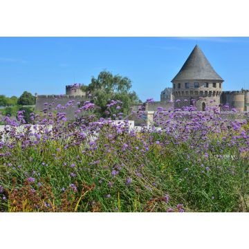 Lais Puzzle - Brest, Tour Tanguy, Bretagne, Frankreich - 1.000 Teile
