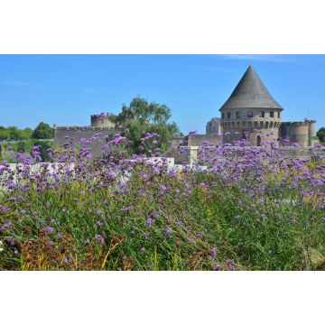 Lais Puzzle - Brest, Tour Tanguy, Bretagne, Frankreich - 2.000 Teile