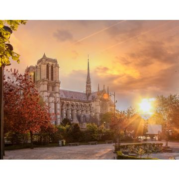 Lais Puzzle - Paris, Kathedrale Notre Dame mit Frühlingsbäumen - 40, 100, 200, 500, 1.000 & 2.000 Teile