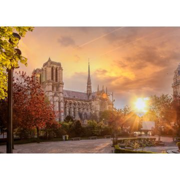 Lais Puzzle - Paris, Kathedrale Notre Dame mit Frühlingsbäumen - 1.000 Teile