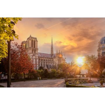 Lais Puzzle - Paris, Kathedrale Notre Dame mit Frühlingsbäumen - 2.000 Teile