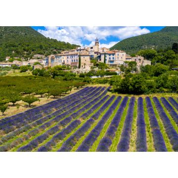 Lais Puzzle - Provence in Frankreich, Lavendelfelder und das Dorf Grigan - 1.000 Teile