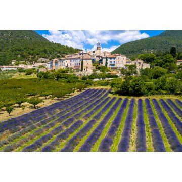 Lais Puzzle - Provence in Frankreich, Lavendelfelder und das Dorf Grigan - 2.000 Teile