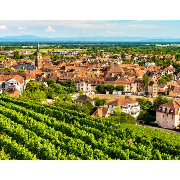 Lais Puzzle - Stadt Obernai mit Weinbergen im Bas-Rhin, Frankreich - 40, 100, 200, 500, 1.000 & 2.000 Teile