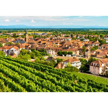 Lais Puzzle - Stadt Obernai mit Weinbergen im Bas-Rhin, Frankreich - 1.000 Teile