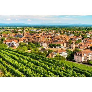 Lais Puzzle - Stadt Obernai mit Weinbergen im Bas-Rhin, Frankreich - 2.000 Teile