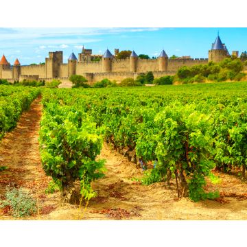 Lais Puzzle - Schloss von Carcassone in Frankreich - 40, 100, 200, 500, 1.000 & 2.000 Teile