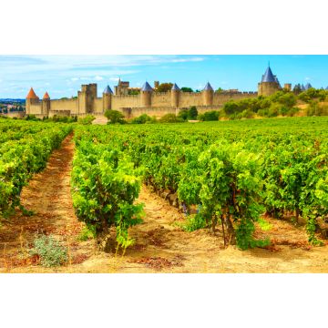 Lais Puzzle - Schloss von Carcassone in Frankreich - 2.000 Teile