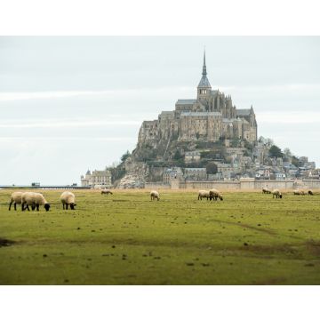 Lais Puzzle - Blick auf den Mont Saint-Michel, Frankreich - 40, 100, 200, 500, 1.000 & 2.000 Teile