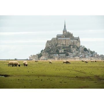 Lais Puzzle - Blick auf den Mont Saint-Michel, Frankreich - 1.000 Teile