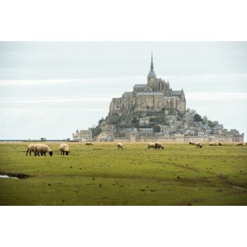 Lais Puzzle - Blick auf den Mont Saint-Michel, Frankreich - 2.000 Teile