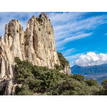 Lais Puzzle - Les dentelles de monmirail in Frankreich - 40, 100, 200, 500, 1.000 & 2.000 Teile