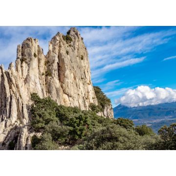 Lais Puzzle - Les dentelles de monmirail in Frankreich - 1.000 Teile