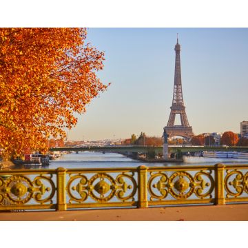 Lais Puzzle - Blick von der Mirabeau-Brücke auf den Eiffelturm über der Seine an einem schönen Herbsttag in Paris - 40, 100, 200, 500, 1.000 & 2.000 Teile