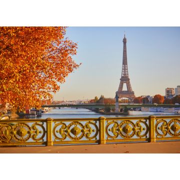 Lais Puzzle - Blick von der Mirabeau-Brücke auf den Eiffelturm über der Seine an einem schönen Herbsttag in Paris - 1.000 Teile