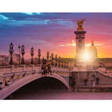 Lais Puzzle - Die Brücke Alexandre III bei herrlichem Sonnenuntergang - Paris, Frankreich - 40, 100, 200, 500, 1.000 & 2.000 Teile