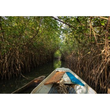 Lais Puzzle - Gambia Mangroven. Traditionelles Langboot. Grüne Mangrovenbäume im Wald. Gambia - 1.000 Teile