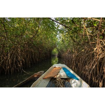 Lais Puzzle - Gambia Mangroven. Traditionelles Langboot. Grüne Mangrovenbäume im Wald. Gambia - 2.000 Teile