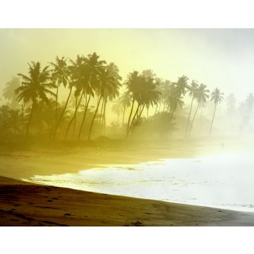 Lais Puzzle - Wilder Atlantikstrand mit Palmensilhouetten in Ghana - 40, 100, 200, 500, 1.000 & 2.000 Teile