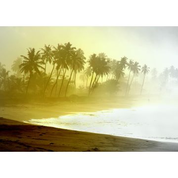 Lais Puzzle - Wilder Atlantikstrand mit Palmensilhouetten in Ghana - 1.000 Teile