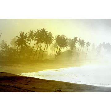 Lais Puzzle - Wilder Atlantikstrand mit Palmensilhouetten in Ghana - 2.000 Teile