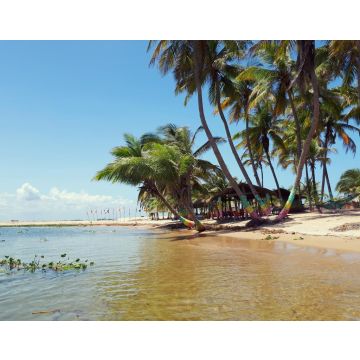 Lais Puzzle - Palmengesäumter Süßwasserstrand bei Ada Foah, Ghana - 40, 100, 200, 500, 1.000 & 2.000 Teile