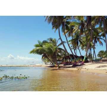 Lais Puzzle - Palmengesäumter Süßwasserstrand bei Ada Foah, Ghana - 1.000 Teile